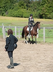 Horse Shopping,Watching Being Ridden