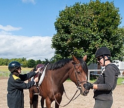 Horse Shopping,Trying Out