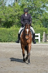 Horse Show General English Horse Show General English