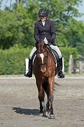 Horse Show General English Horse Show General English