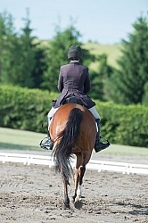 Horse Show General English Horse Show General English