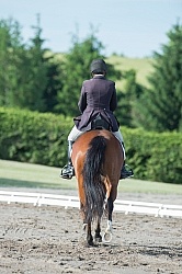 Horse Show General English Horse Show General English