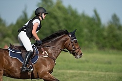Equine Athlete, Eventing Lower Level