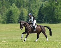 Equine Athlete, Eventing Lower Level