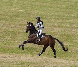 Equine Athlete, Eventing Lower Level