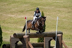 Equine Athlete, Eventing Lower Level Equine Athlete, Eventing Lower Level