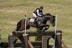 Equine Athlete, Eventing Lower Level Equine Athlete, Eventing Lower Level