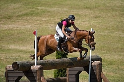 Equine Athlete, Eventing Lower Level Equine Athlete, Eventing Lower Level
