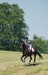 Equine Athlete, Eventing Lower Level