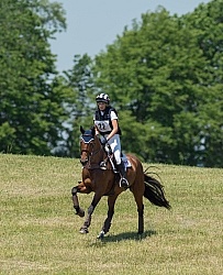 Equine Athlete, Eventing Lower Level