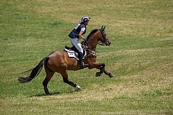 Equine Athlete, Eventing Lower Level