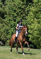 Equine Athlete, Eventing Lower Level