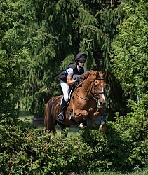 Equine Athlete, Eventing Lower Level