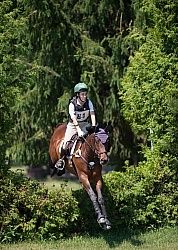 Equine Athlete, Eventing Lower Level