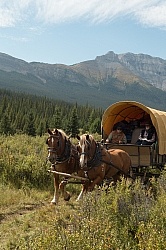 The Chuck Wagon, Wild Deuce Women's Retreat