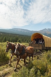The Chuck Wagon, Wild Deuce Women's Retreat