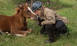Shawn with Gracys colt