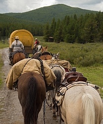 The String of Horses