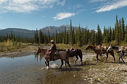 The String of Horses