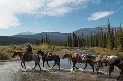 The String of Horses