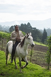 Rodrigo Bringing in the Herd