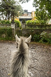 Riding at Hacienda La Alegria