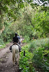 Riding at Hacienda La Alegria
