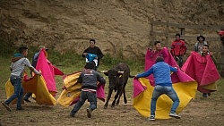 Teasing a Bull at The Local Rodeo