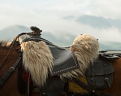 Ecuadorian Saddle at The Local Rodeo