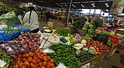 Local Market in Aloag Ecuador