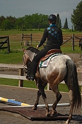 Junior Trail Class Appaloosa