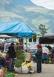 Local Market in Aloag, Ecuador