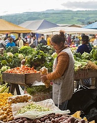 Local Market in Aloag, Ecuador
