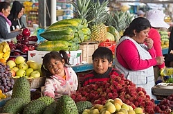 Local Market in Aloag, Ecuador