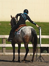 Junior Trail Class Appaloosa