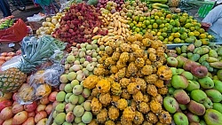 Local Market in Aloag Ecuador