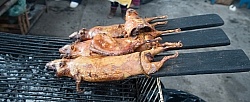 Guinea Pig on a Stick at the Local Market in Aloag, Ecuador