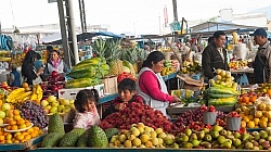Local Market in Aloag, Ecuador