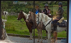 Reflections in a House Window on the Way to Bomboli