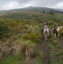 In the Paramo  on the Way to Bomboli