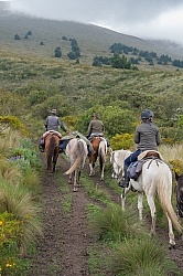 In the Paramo  on the Way to Bomboli