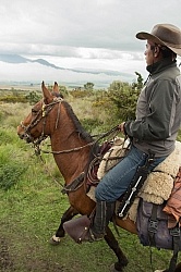 In the Paramo  on the Way to Bomboli