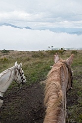 Riding Above the Clouds   on the Way to Bomboli