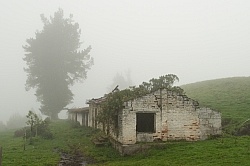On the Way to the Cloud Forest
