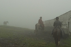Riding in the Clouds from Bomboli, Ecuador