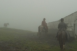 Riding in the Clouds from Bomboli, Ecuador
