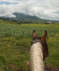 The View on Return From Bomboli, Ecuador