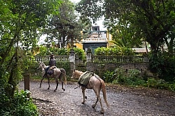 Returning to the Hacienda La Alegria from Bomboli, Ecuador