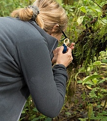 Heather on Garden Tour at Bomboli, Ecuador