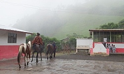 Riding into the School Yard